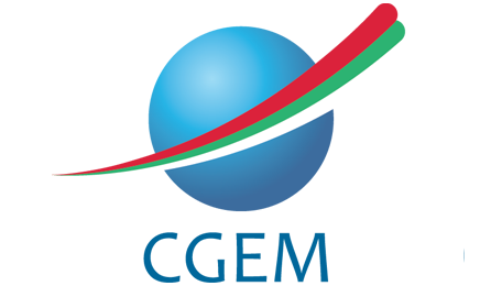 Logo Partner