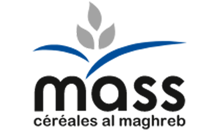 Logo Partner