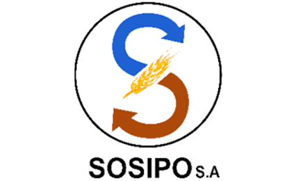 Logo Partner