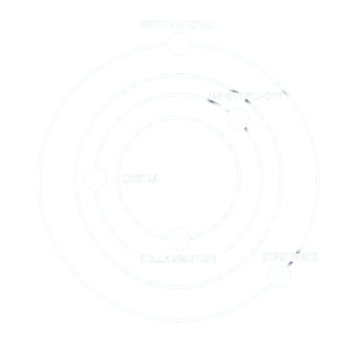 Illustration orbitale des flux AfriPortnet