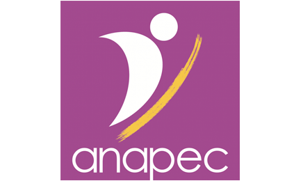 Logo Partner