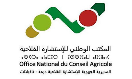 Logo Partner